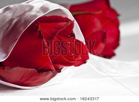 Rote Rosen