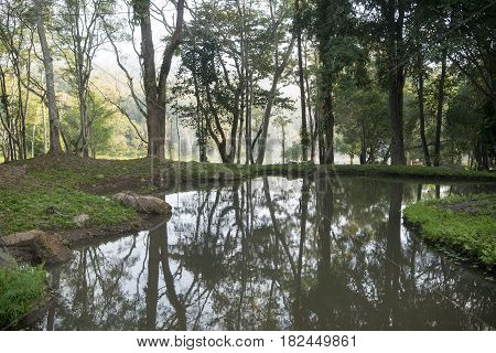 Thailand Lampang Jaesorn Hotsprings