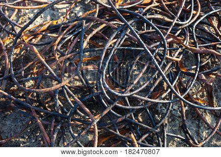 Old rusty and partially burnt metal wire on the landfill. Close-up.