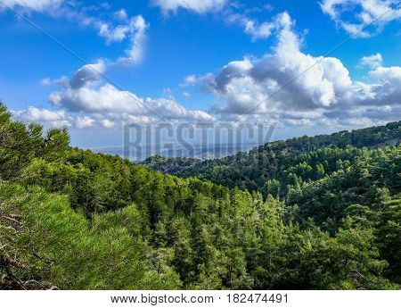 View from the top of Troodos Mountain in Cyprus in Spring