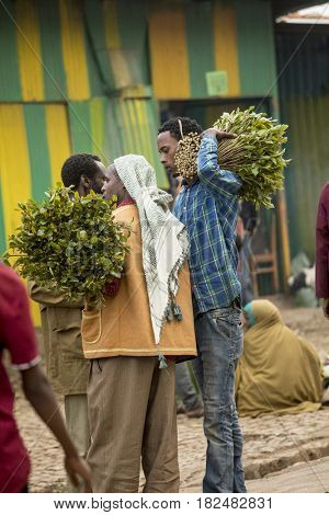 HARAR, ETHIOPIA-MARCH 26, 2017: Merchants buy and sell qat, a stimulant chewed by many people in Ethiopia and Somalia.