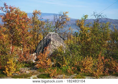 Beautiful vibrant autumn fall view of famous Abisko National Park, Sweden