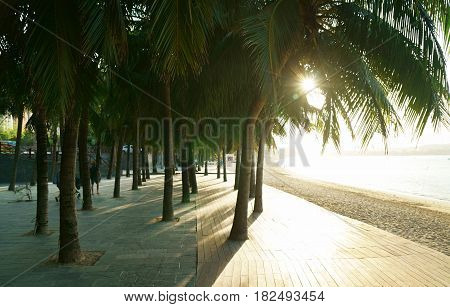 Morning tourist embankment with palm trees along the beach at Dadonghai Bay on Hainan Island, China