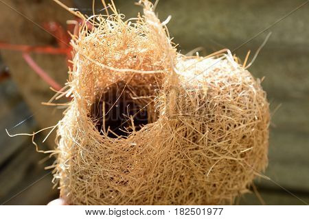 Close up empty birdsnest background / Selective focus