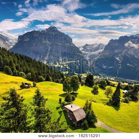 Colorful morning view of Grindelwald village valley from cableway. Wetterhorn mountain located west of Innertkirchen in the Bernese Oberland Alps. Switzerland Europe.