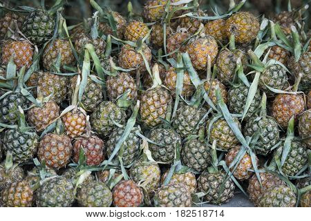 pineaple fruits at a market in the city of Chiang Rai in North Thailand.