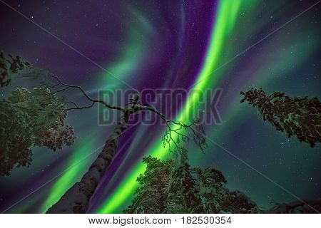 Beautiful Northern lights over the head in Lapland