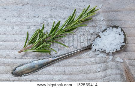 Salt And Rosemary On A Spoon Macro