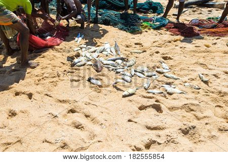 SRI LANKA - Mach 23: Local fishermen pull a fishing net from Indian Ocean on Mach 23, 2017 in Kosgoda, Sri Lanka. Fishing in Sri Lanka is the way they earn their living.