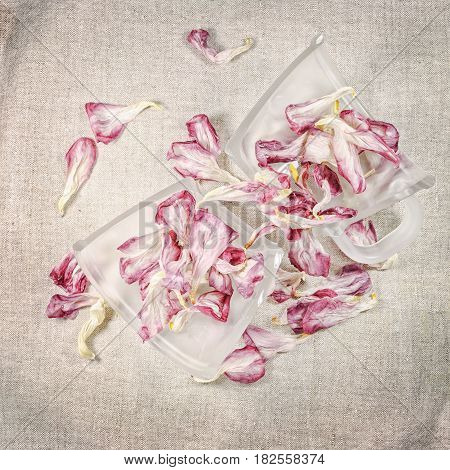 The Cup Of Broken Dreams.