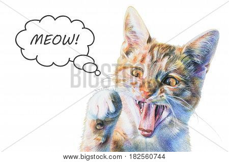 Red cat painted with colored pencils. Funny little tricolor kitten with raised paw says meow. Isolated illustration on white background