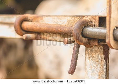Close-up Of The Lock Of A Paddock