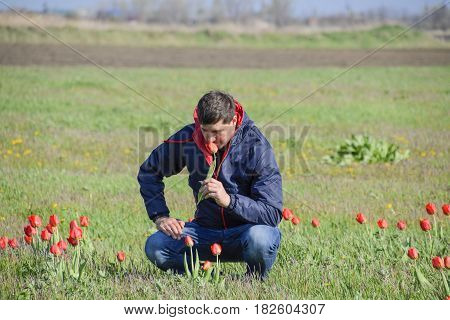 A Man In A Jacket On A Field Of Tulips. Glade With Tulips
