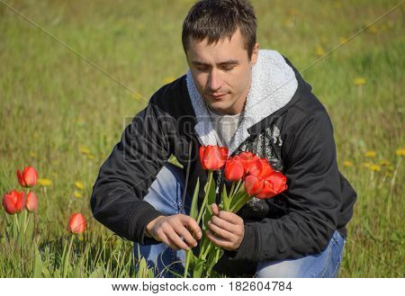 A Man In A Jacket On A Field Of Tulips. Glade With Tulips. A Man Is Tearing Tulips In A Bouquet