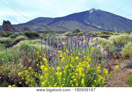 Beautiful view of Teide National Park in Tenerife,Canary Islands,Spain.