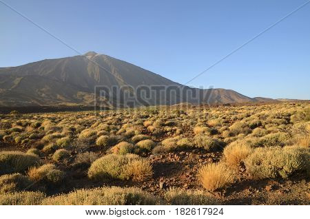Beautiful view of Teide National Park in Tenerife,Canary Islands,Spain.