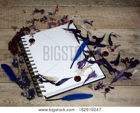 A blank sheet of paper for text surrounded by dried flower petals on a wooden background. Illustration of a hobby drawing and inspiration. Top view.Easel brushes watercolor paint