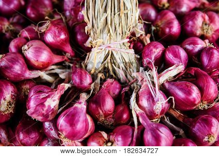 Allium Ascalonicum (shallots) Or  Red Onion