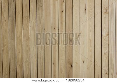 Verticle view of wood texture - Wood Background