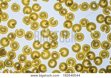 Raw cappelletti pasta close up: top view