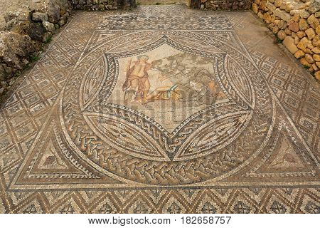 Excavations In The Archeologique De Volubilis, Morocco.