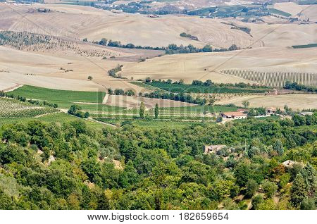 Round clay hillocks after the autumn tilling - Crete Senesi, Italy