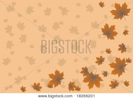 Ahorn-Blätter im Herbst Hintergrund fliegen