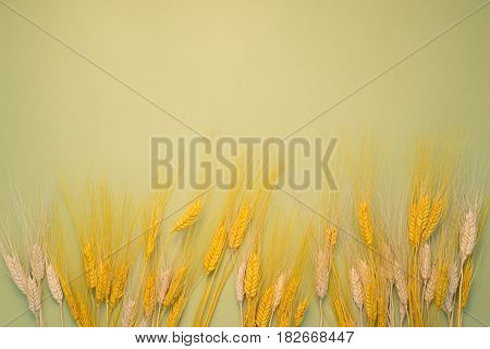 Spikelets On Background