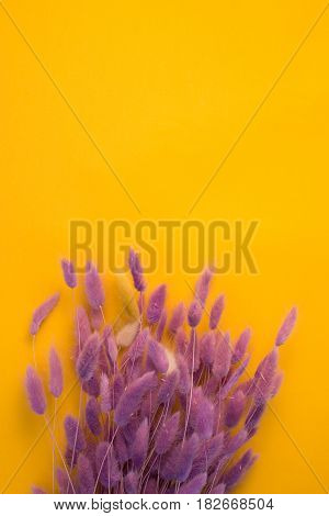Yellow Background With Purple Flowers