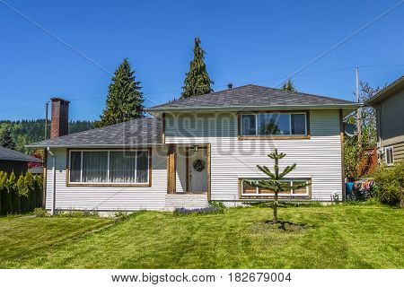 Old modest residential house with monkey tree on the front yard lawn. Family house on sunny day in Canada
