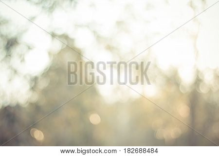 Blurred green and orange background bokeh in morning