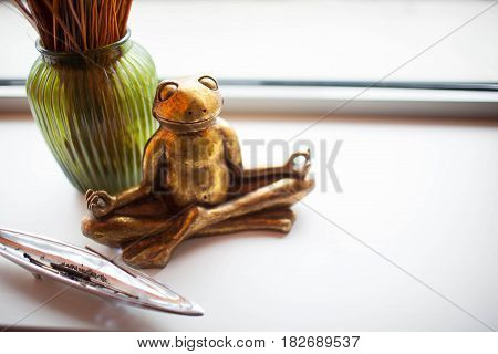 frog in a yoga pose on a white background