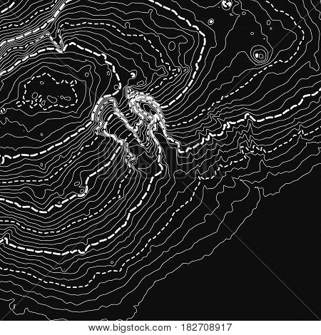 Vector abstract grayscale earth relief map. Generated conceptual elevation map. Isolines of landscape surface elevation. Geographic map conceptual design. Elegant background for presentations.