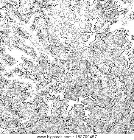 Vector abstract grayscale earth relief map. Generated conceptual elevation map. Isolines of landscape surface elevation. Geographic map conceptual design. Elegant background for presentations.
