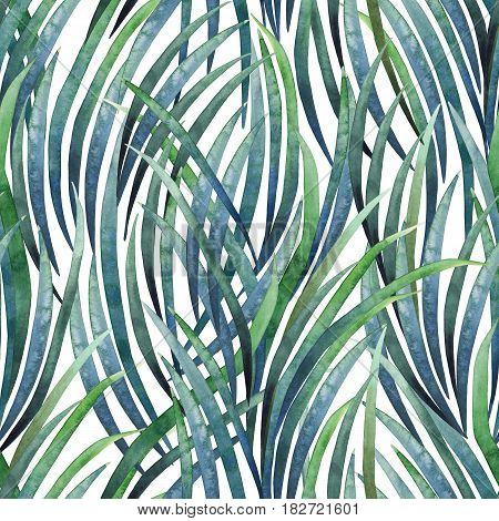 Watercolor tillandsia cyanea seamless pattern. Hand painted exotic leaves