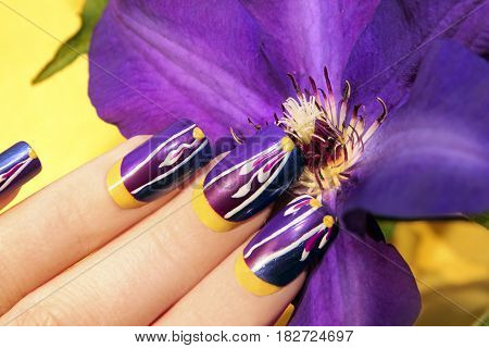 Lilac summer manicure with a design on the nails on the woman with the clematis closeup. Nail art.