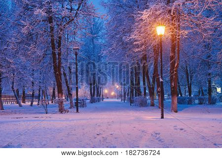 winter park at night at sunrise long expusure