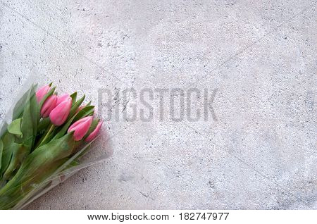 Pink tulips on shabby chique background with space for text