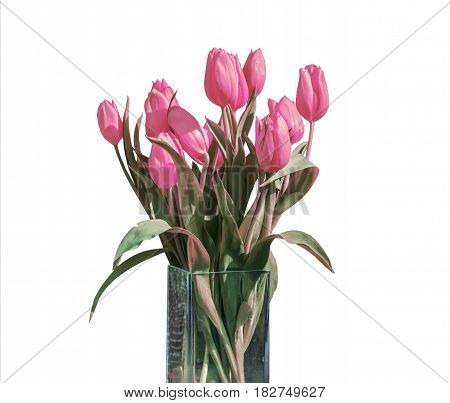 Spring bouquet of pink tulips isolated on the white background in a bucket version 5