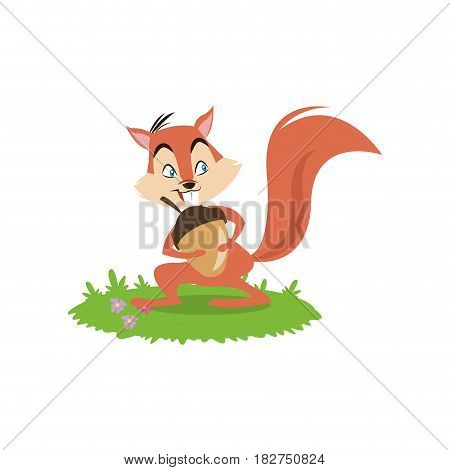 Squirrel cartoon icon. Animal cute adorable and creature theme. Isolated design. Vector illustration