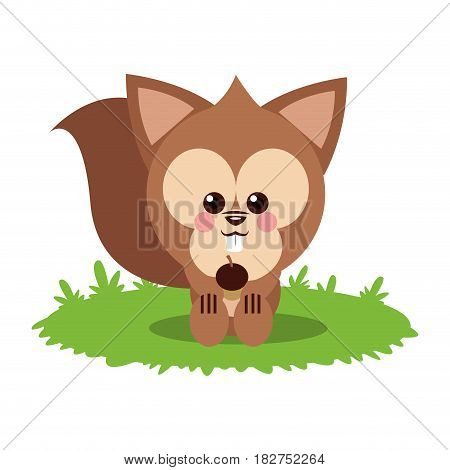 Squirrel cartoon icon. Animal cute adorable and creature theme. Isolated design. Vector illustration