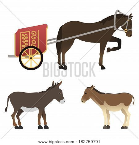 Set of horse pony stallion isolated different breeds color farm equestrian animal characters vector illustration. Collection mammal silhouette domestic animal cartoon pet design.