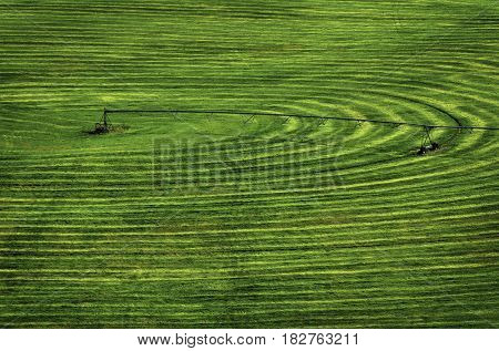 Farmfield with circle pivot irrigation sprinkler