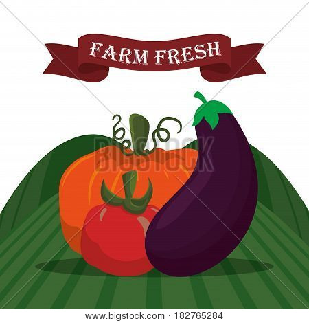 farm fresh vegetables liifestyle healthy sticker vector illustration eps 10