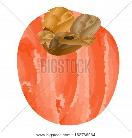 Isolated lulo on a white background, Vector illustration