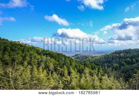 Troodos mountain top view in springtime with beautiful sky.