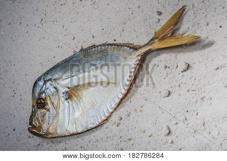 Vomer setapinnis (selene pisces). Smoked fish is a wonderful gourmet meal. Creative artwork used for printing on large format canvas.
