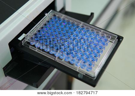 ELISA plate to measure OD with micro plate reader Selective Focus