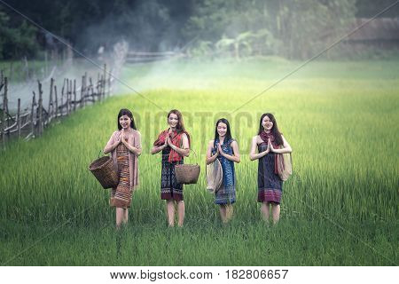 Thai women welcome sawasdee at rice field countryside of Thailand