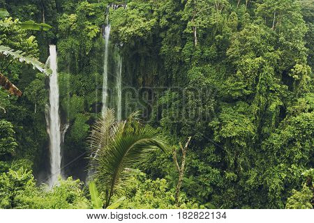 Sekumpul Waterfall in the jungle with clear water falling on stone cliffs and green trees all around Bali
